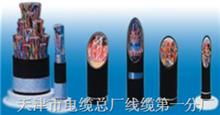 深度解析天津市电缆总厂第一分厂特种电缆型号应用与选型指南